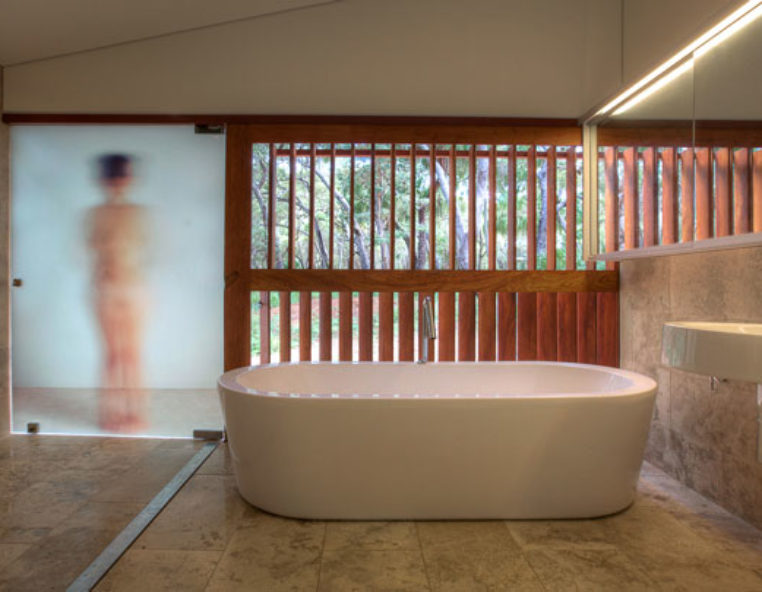 Bathroom door featuring Montage insert in decorative safety glass